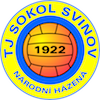 Logo Sokol Svinov